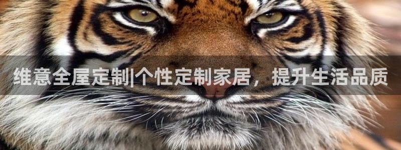 bb电子游戏娱乐平台
