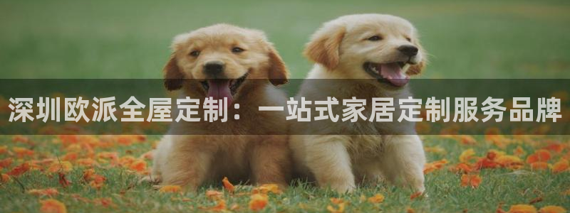bb电子为什么总赢不了