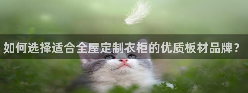 bb电子什么游戏好赢