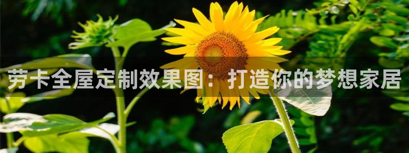 bb电子怎么样