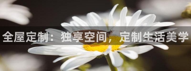 BB电子骗局