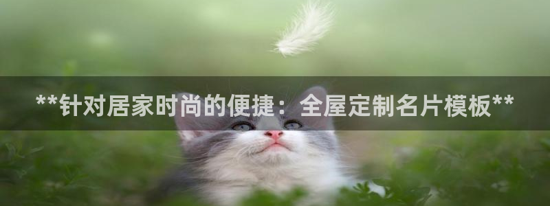 BB电子骗局