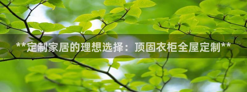 bb电子中了Major怎么算