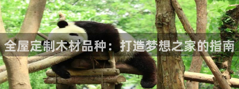 BB电子什么时候容易爆大奖