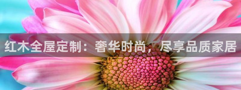 bb电子中了Major怎么算