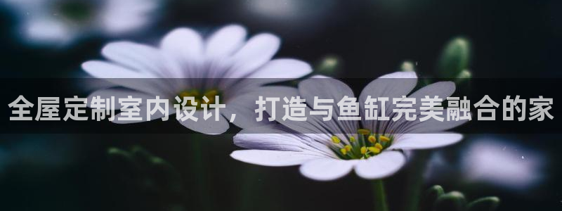 网上bb电子为什么那么假的