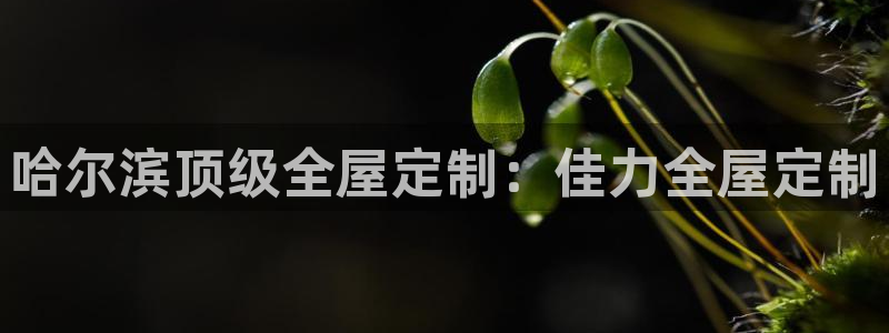 BB电子麻将胡了