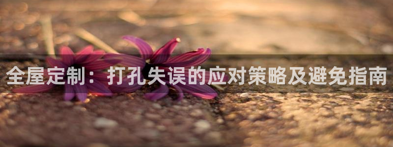 bb电子哪个平台好用
