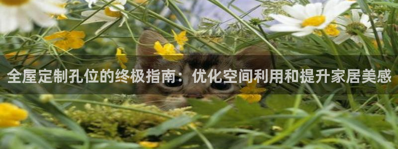 bb电子哪个游戏好赢钱啊