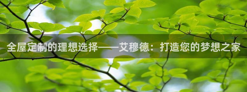 bb电子哪个平台好些