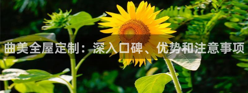 bb电子是怎么控制玩家输赢的