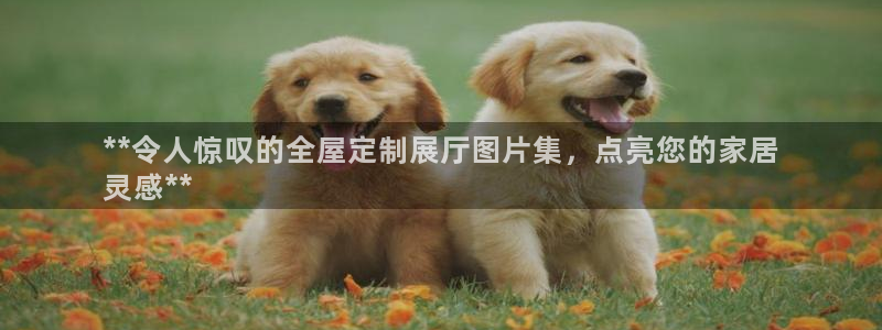 bb电子哪个平台好一点