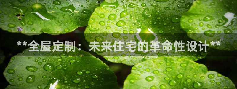 bb电子为什么总赢不了