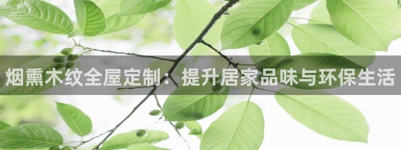 BB电子烟官网